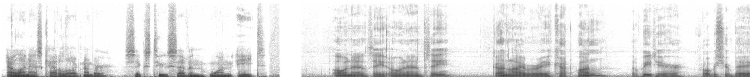 ハシグロヒタキ（leucorhoa） - ML62718