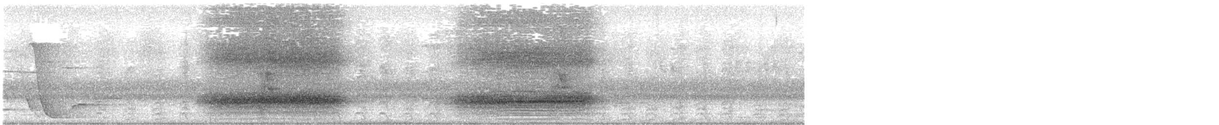 Paradise Riflebird - ML627181437