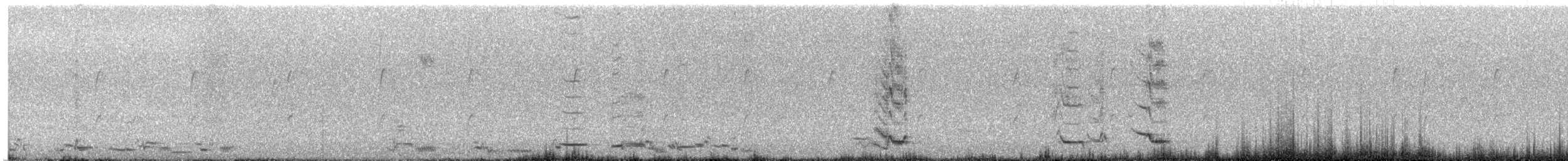 Australian Magpie - ML627183953