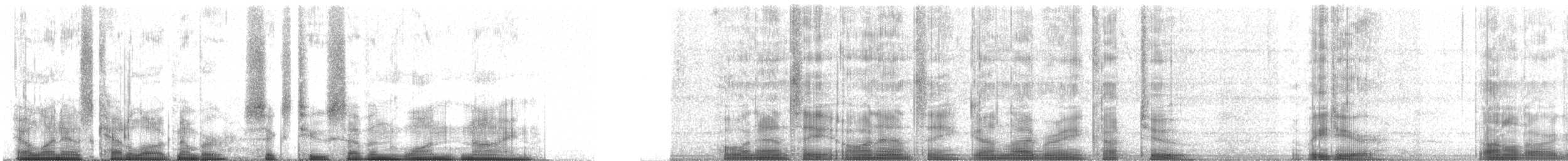 Steinschmätzer (leucorhoa) - ML62719