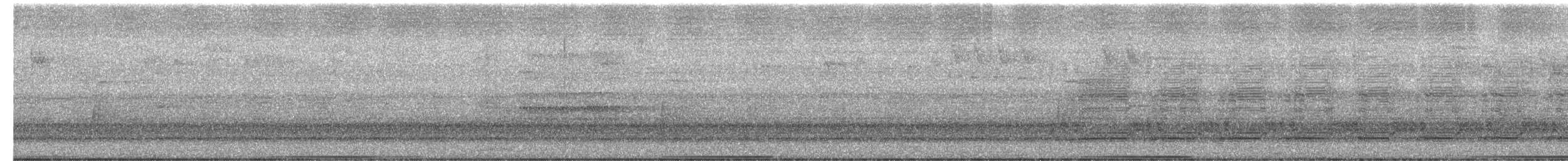 Common Bronzewing - ML627199546