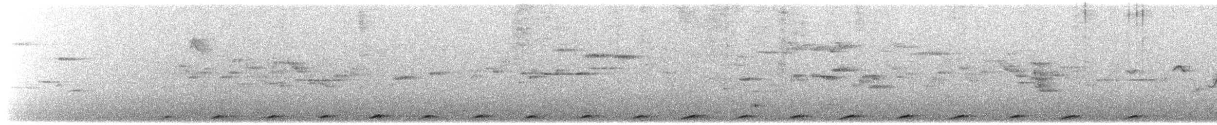 Little Cuckoo-Dove - ML627201815