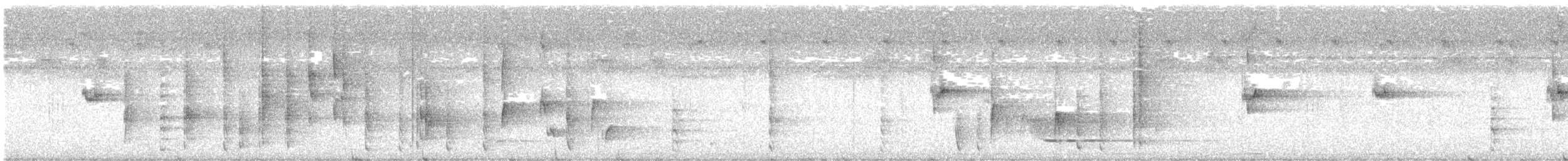 Willie-wagtail - ML627203342