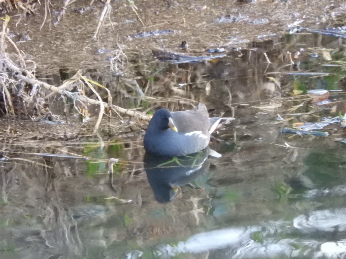 Хажилгат түнжүүр - ML627203660