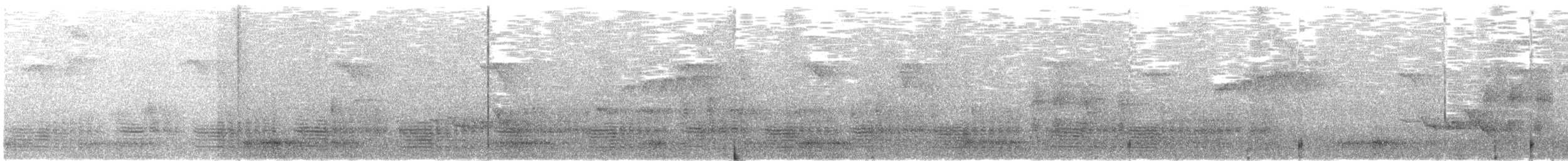 blåryggmanakin - ML627206549
