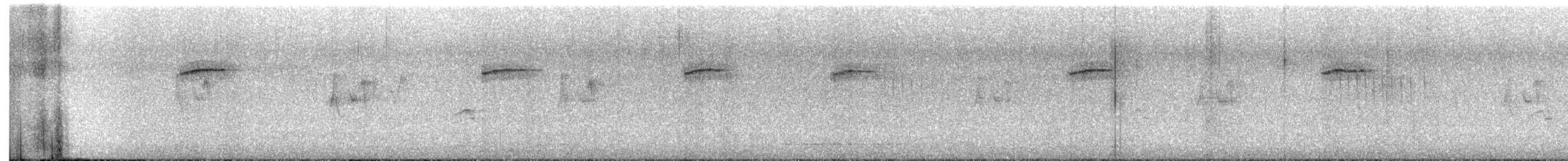 Bar-tailed Treecreeper - ML627207498