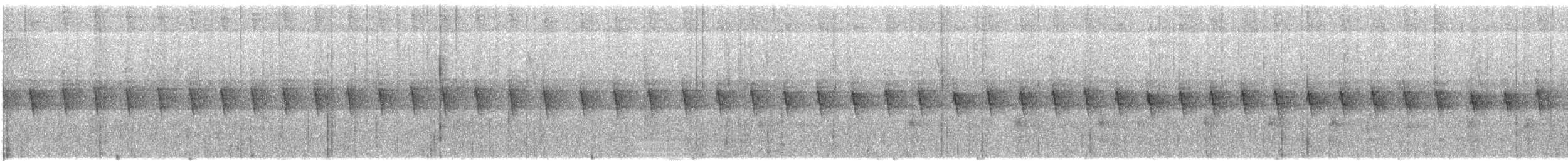 ミナミコオニキバシリ - ML627218431