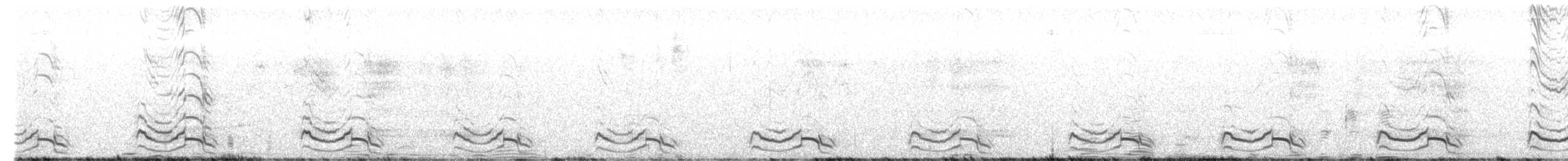 Tinamou quioula - ML627221196
