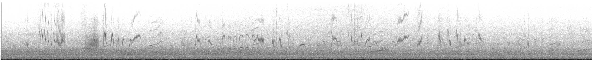 Pie-grièche isabelle (isabellinus) - ML627222269
