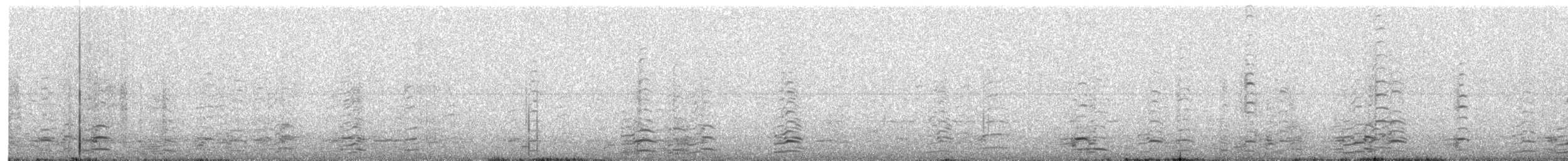 berneška malá - ML627223776