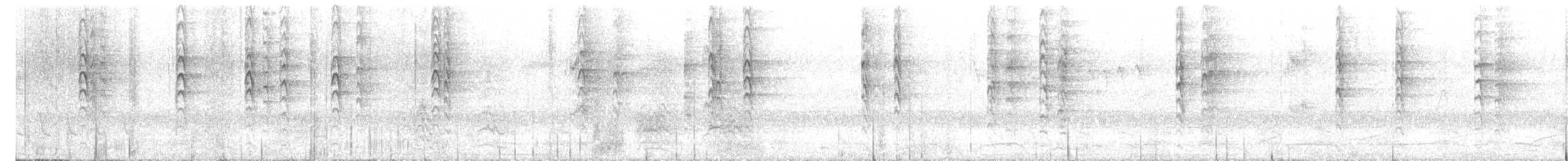grønnkinnparakitt - ML627229990