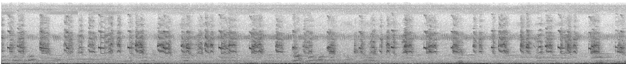 Râle à collier - ML627233722