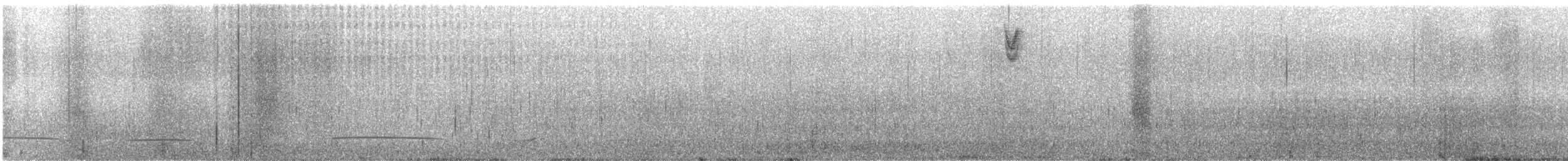 Black Scoter - ML627234969