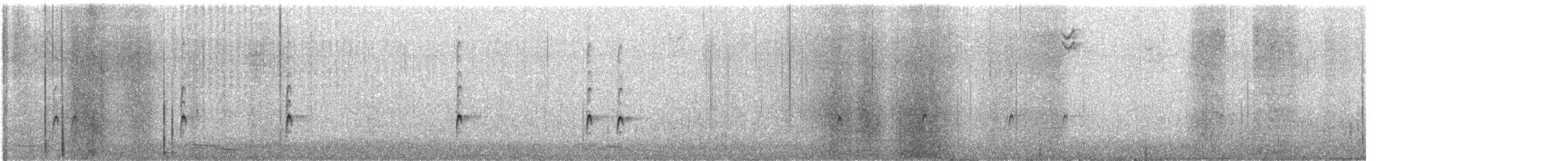 Carolina Wren - ML627234989