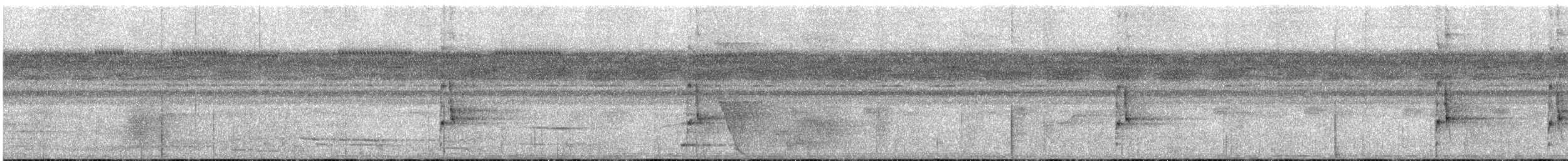 Bindenarassari - ML627239766