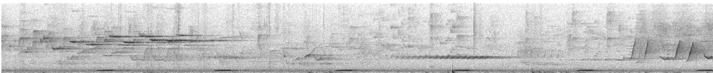 Brush Bronzewing - ML627245340