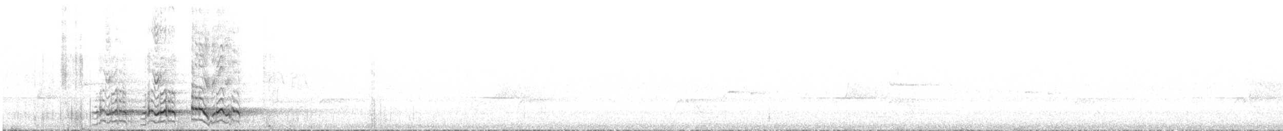 Pied Currawong - ML627246108