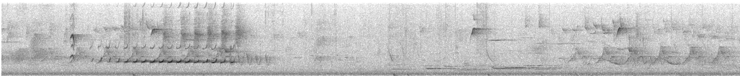 White-throated Treecreeper (White-throated) - ML627246546