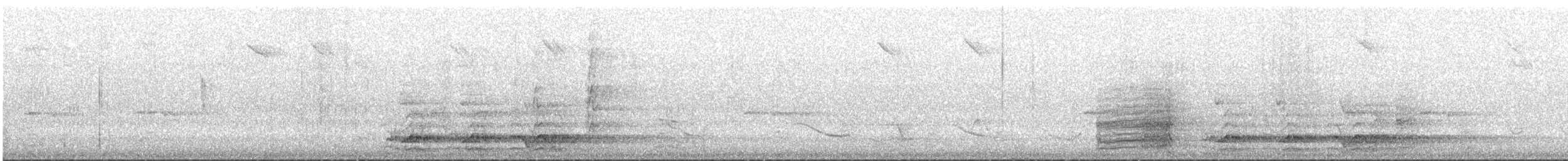 Pied Currawong - ML627246662