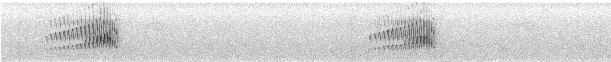 Streak-backed Canastero (Puna) - ML627252776