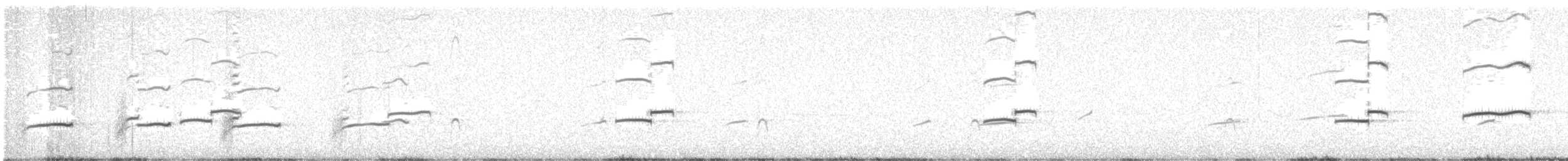 Magellanic Oystercatcher - ML627254211