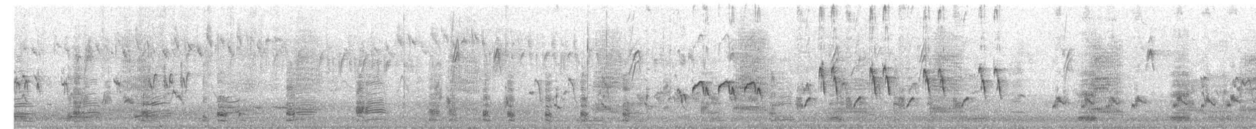 Australian Ibis - ML627256412