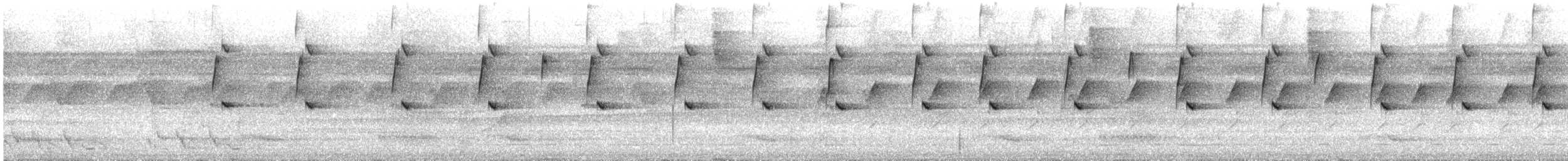 Great-billed Hermit - ML627265307