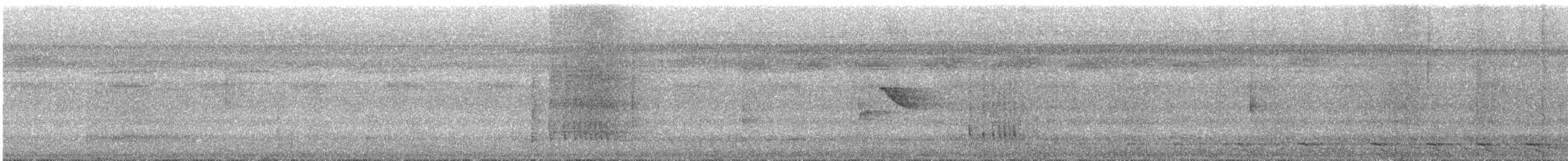 Striolated Manakin - ML627266564