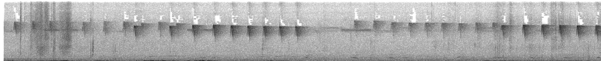 Checker-throated Stipplethroat - ML627267409