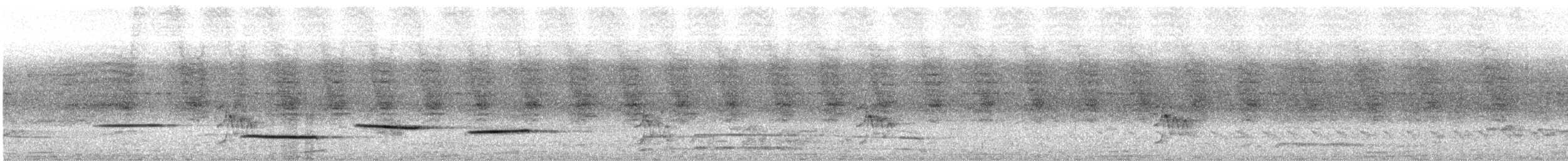 Orange-backed Troupial - ML627269527