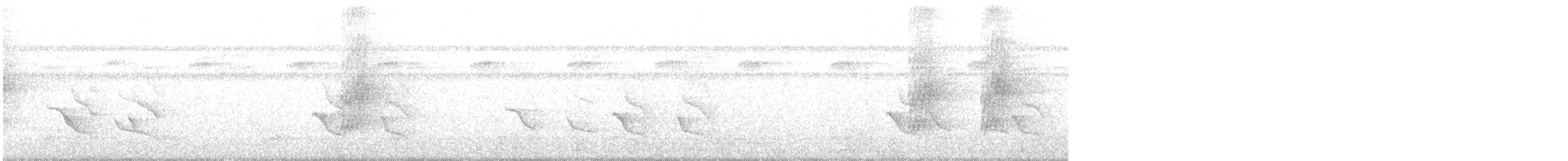 Пласкодзьоб західний - ML627270492