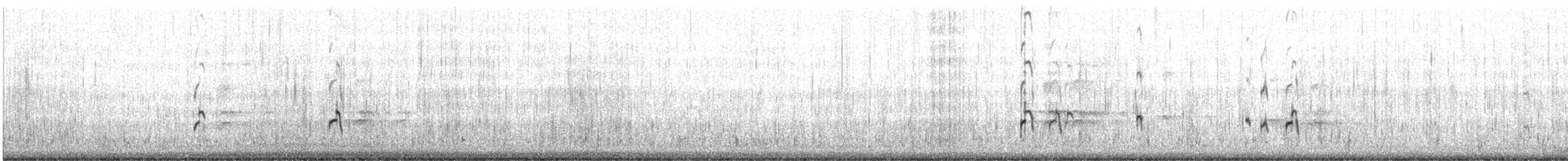 American Avocet - ML627272688