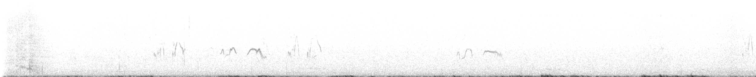 Kutturlio arrunta - ML627282104