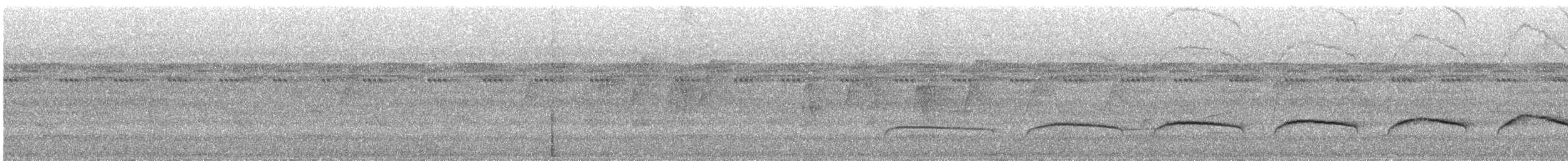 Gray Antwren - ML627287566
