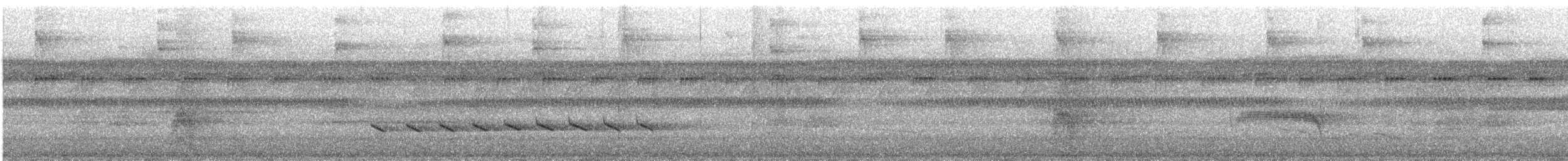 Lawrence's Thrush - ML627287621