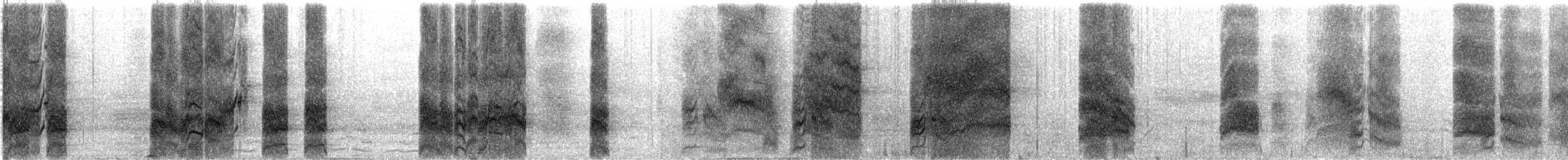 Apostlebird - ML627295462