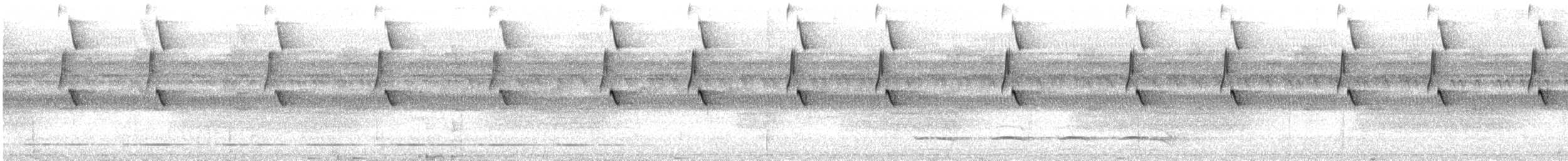 Great-billed Hermit - ML627297005