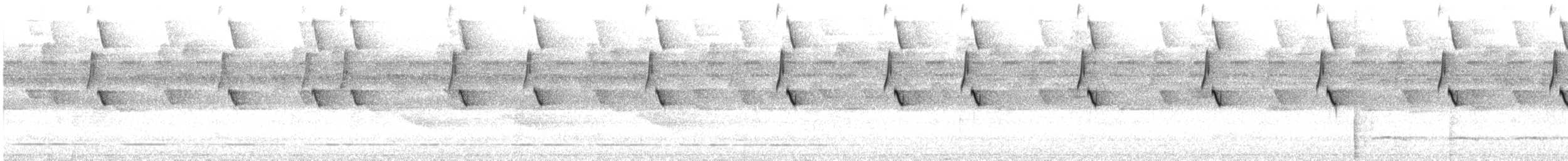 Great-billed Hermit - ML627297006