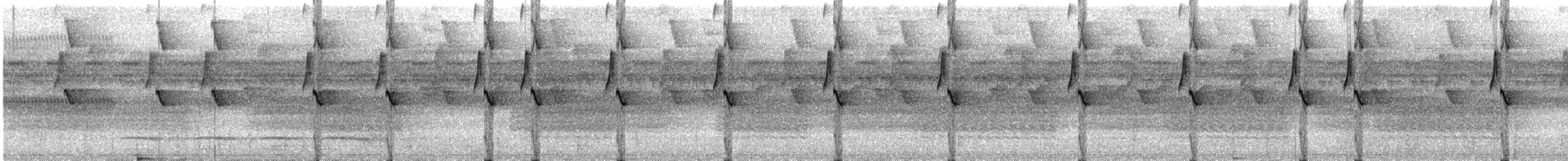 Great-billed Hermit - ML627297007