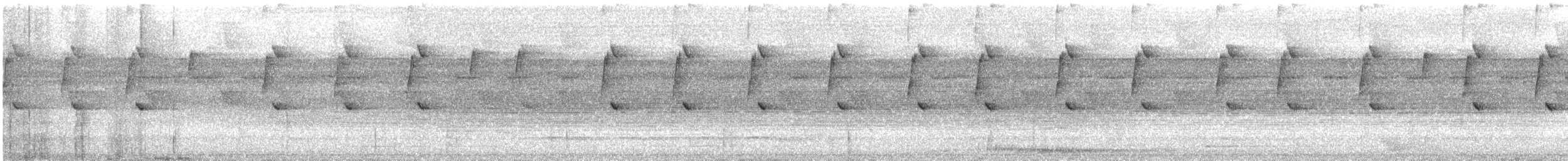 Great-billed Hermit - ML627297009