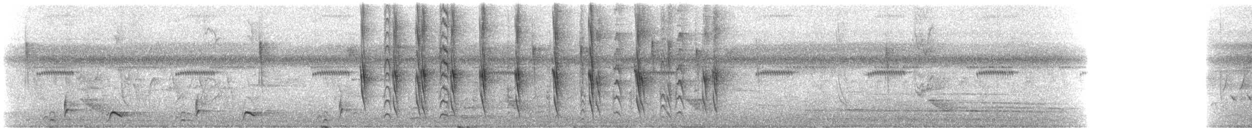 stripetyrann - ML627299790