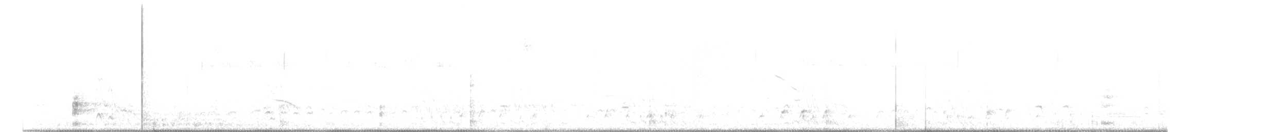 maoridykkand - ML627301482