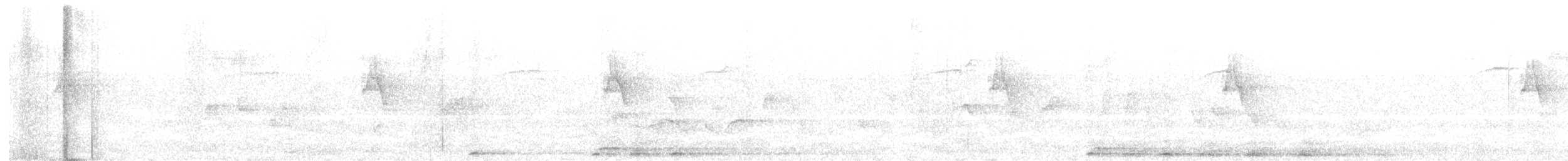 עלווית בלטית - ML627302881