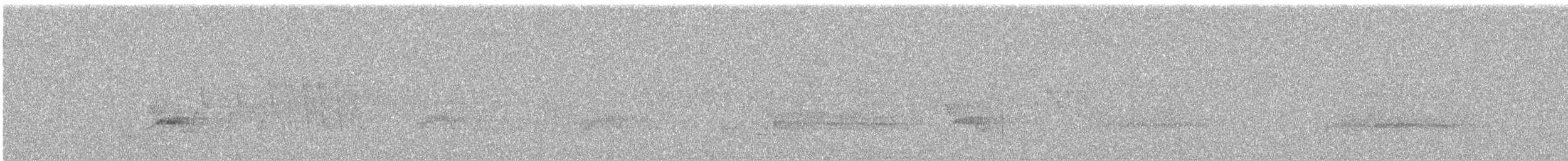 vireo sp. - ML627303503