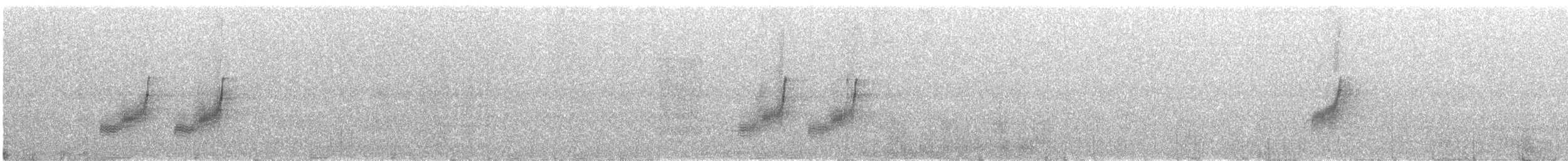 Restless Flycatcher - ML627303670