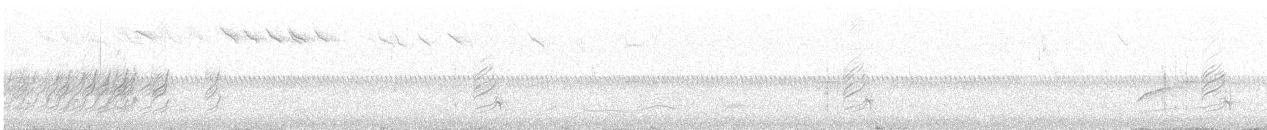 sotsvalestær - ML627304022