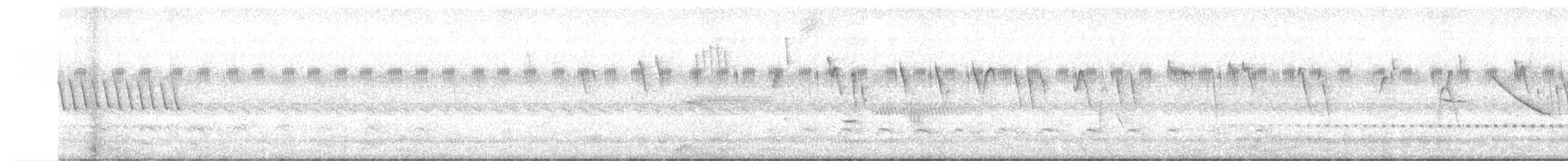 Spotted Nothura - ML627310293