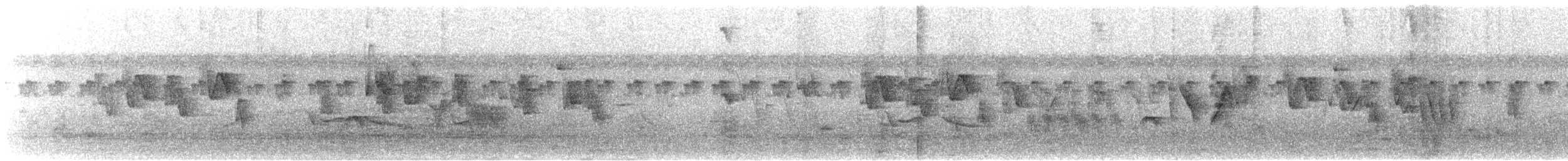 Reichenow's Seedeater - ML627313489