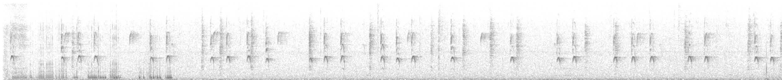 フユミソサザイ - ML627320294