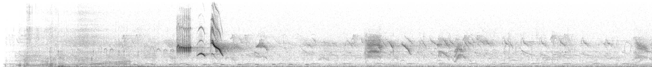 svartdrongo - ML627320526